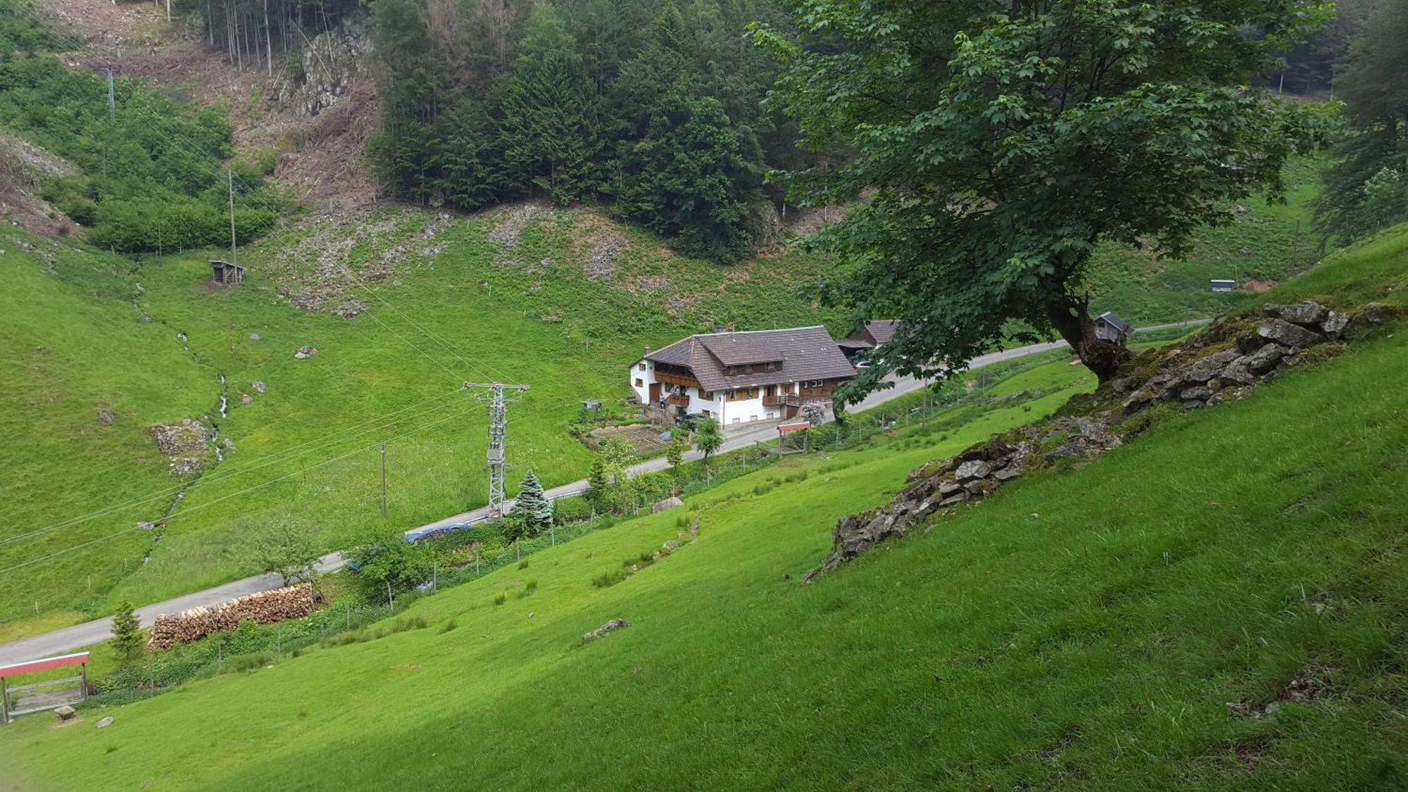 Bauernhaus Im Münstertal Kültér fotó