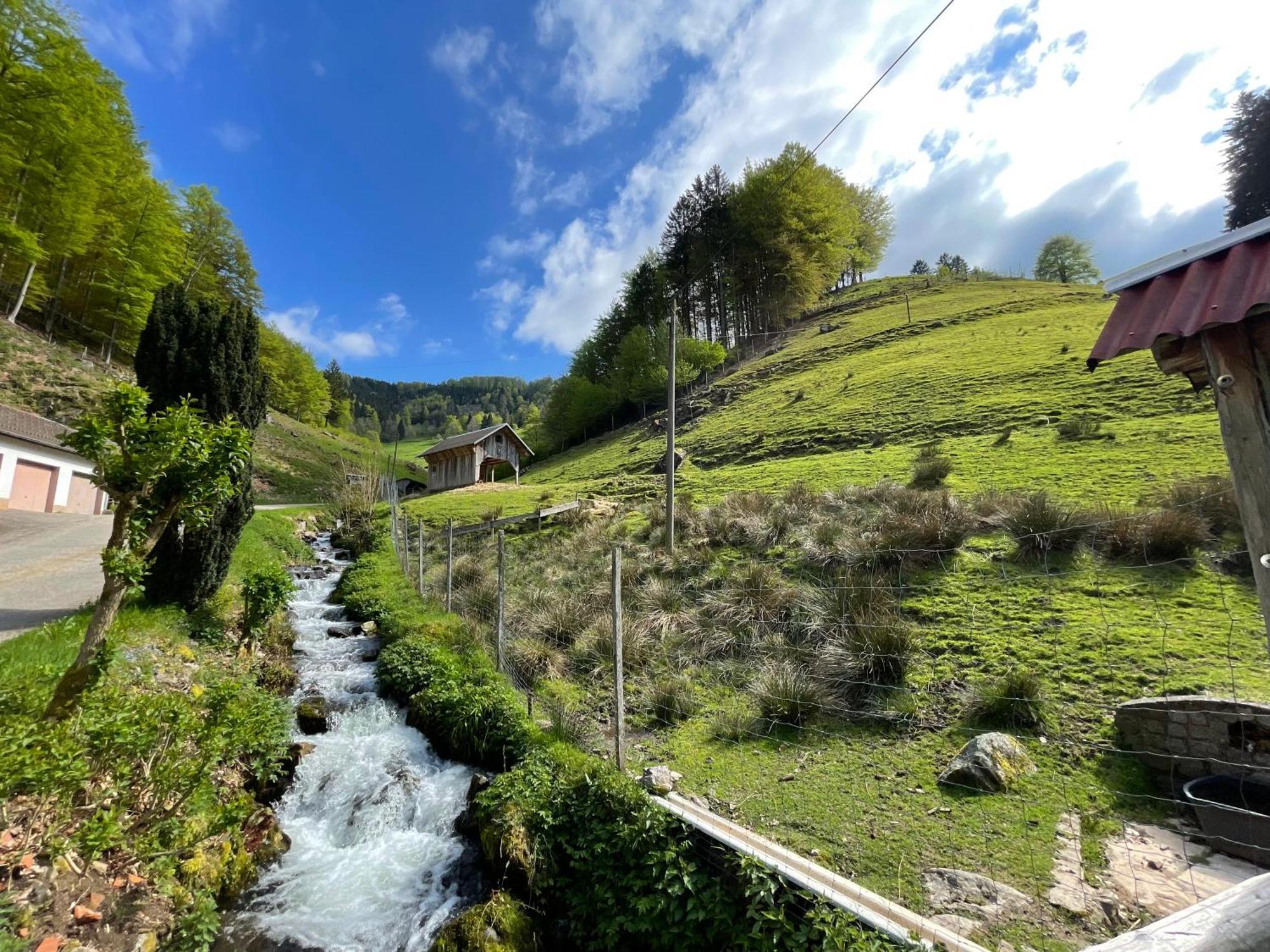 Bauernhaus Im Münstertal Kültér fotó
