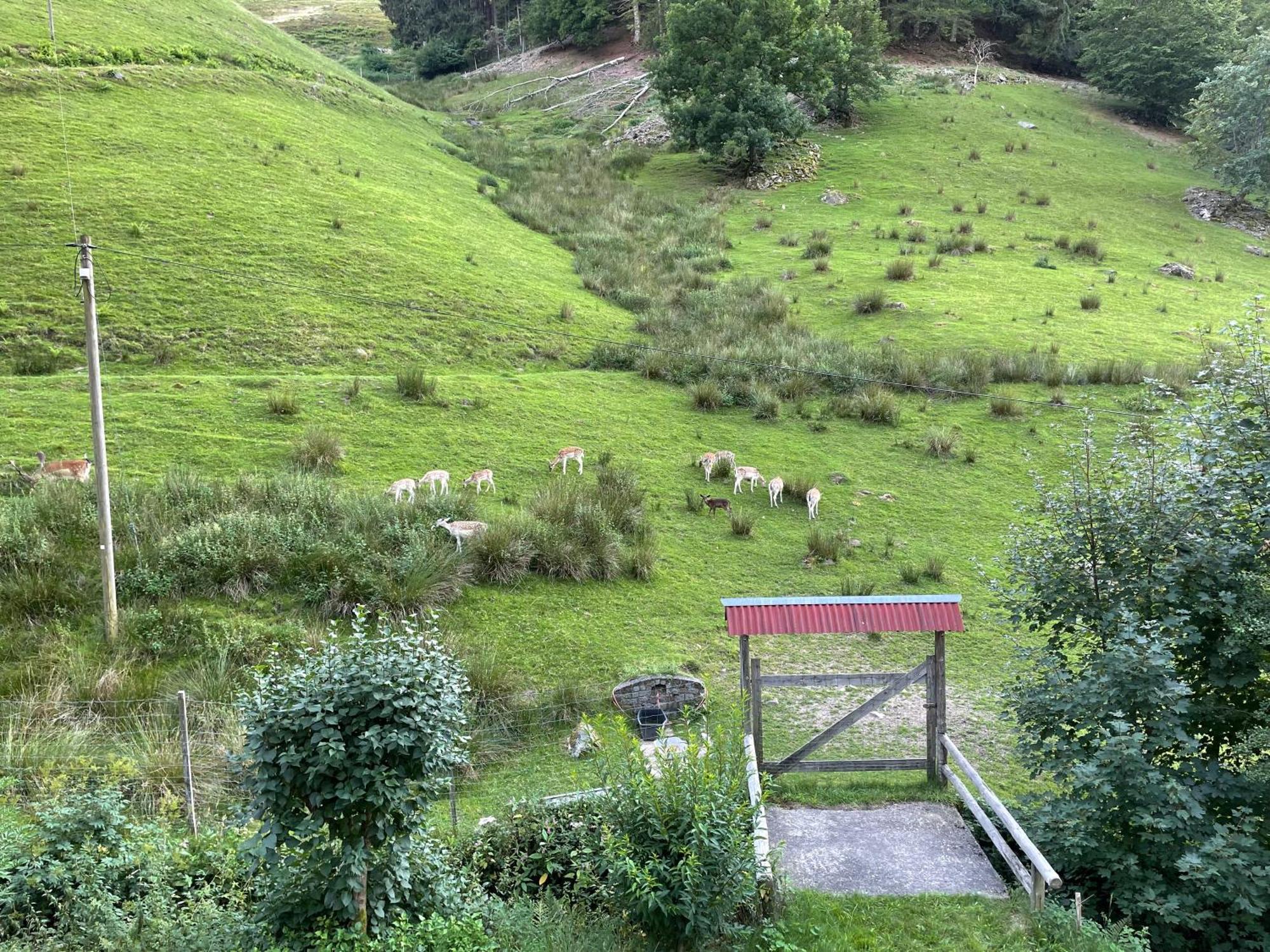 Bauernhaus Im Münstertal Kültér fotó