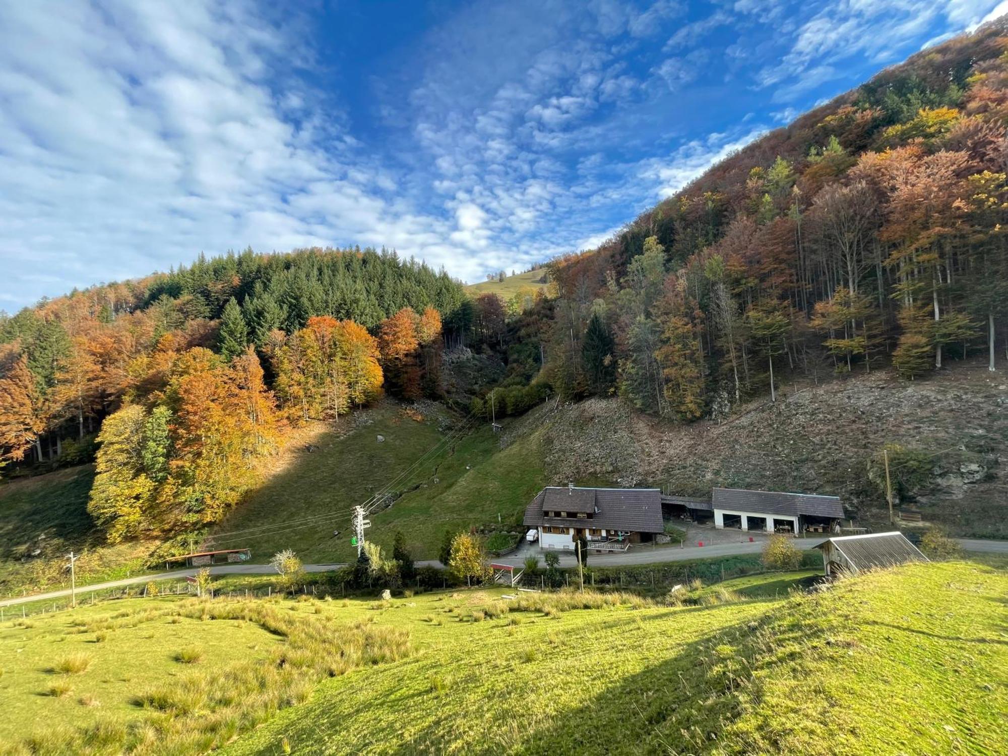 Bauernhaus Im Münstertal Kültér fotó